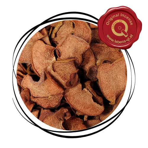 Quitte - Frucht
