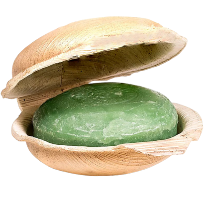 Ayurvedische Regenwald Seife