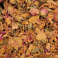 Rose rosa - Blüten