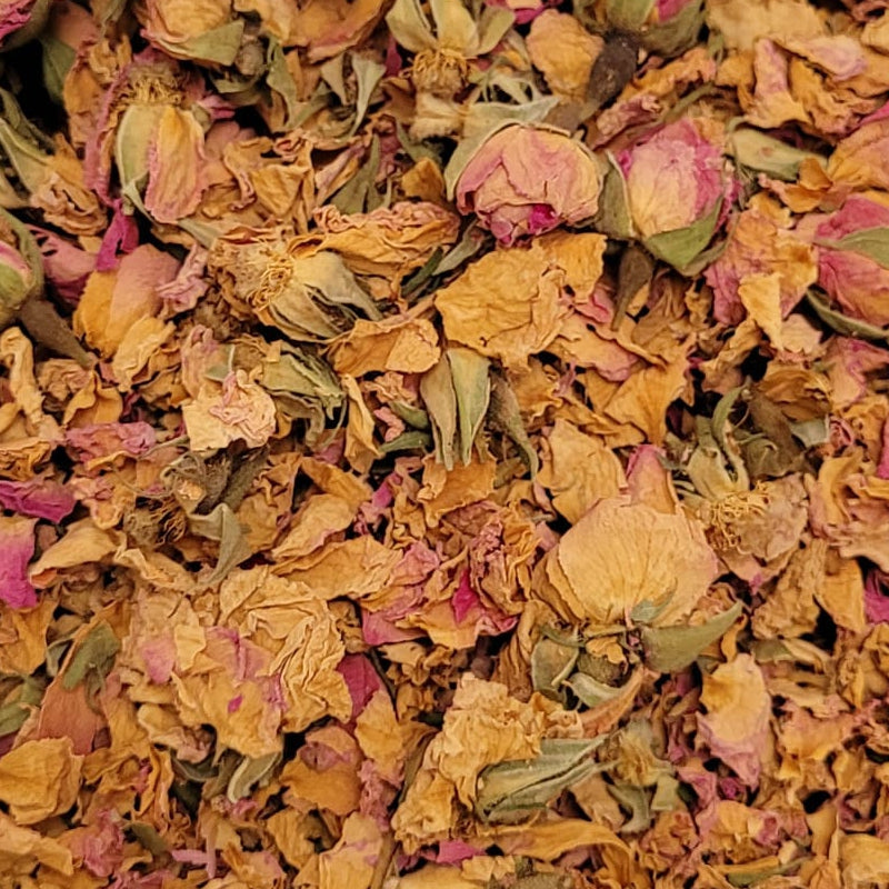 Rose rosa - Blüten