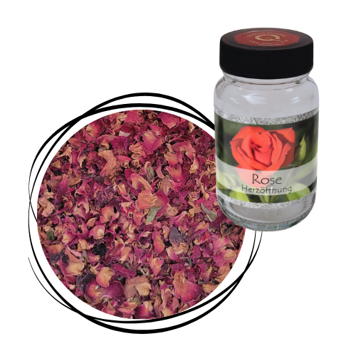 Rose - Blüten