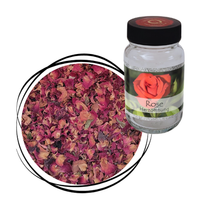 Rose - Blüten