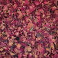 Rose - Blüten