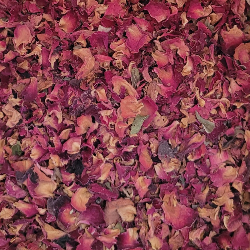 Rose - Blüten