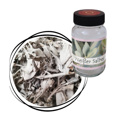 Weißer Salbei - Kraut