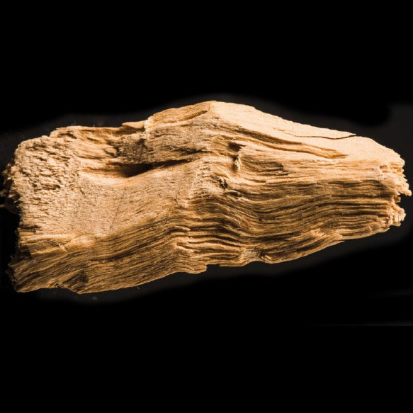 Sandelholz - Holz