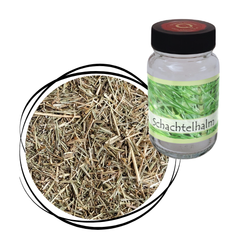 Schachtelhalm - Kraut