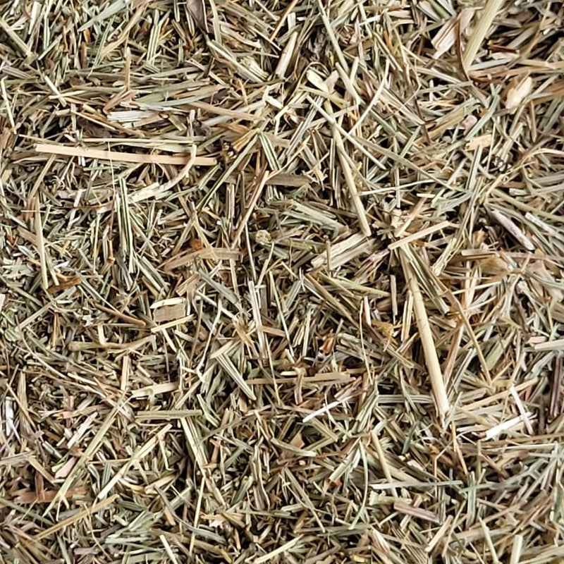Schachtelhalm - Kraut