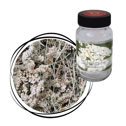 Schafgarbe - Blüten