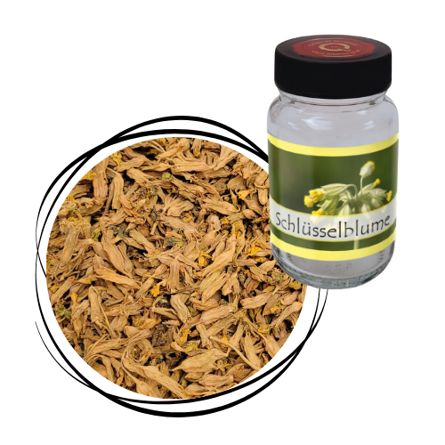 Schlüsselblume - Blüten