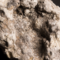 Copal schwarz - Harz