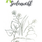Seelenwohl - Kräuterteemischung