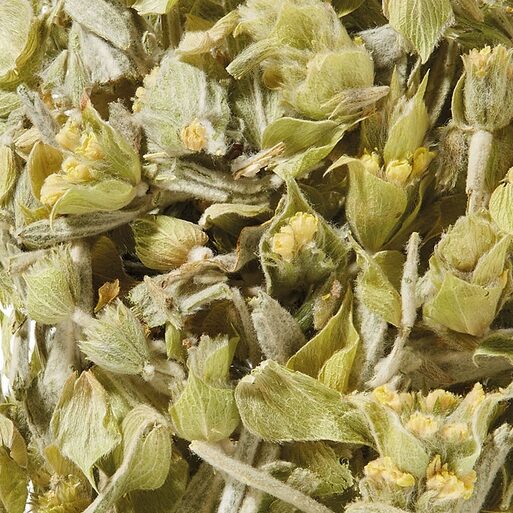 Taste of Greece - Sideritis Raeseri