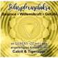 Solarplexus-Chakra Armband - Calcit & Tigerauge