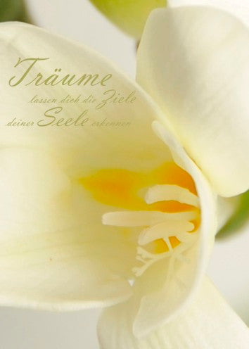 Träume - Chakra-Seelen-Faltkarte