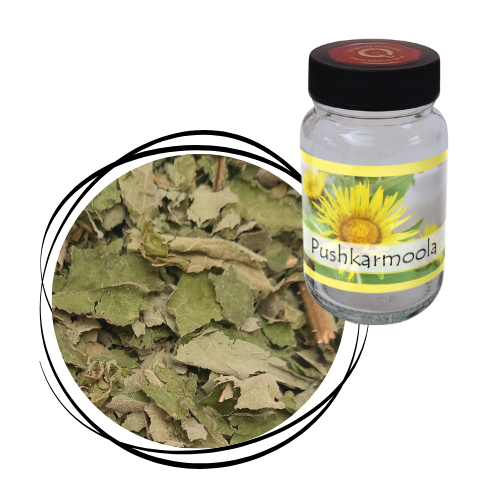 Pushkarmoola - Kraut