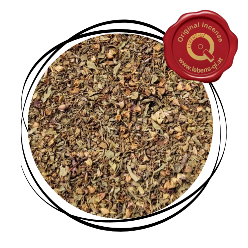 Tulsi - Kraut