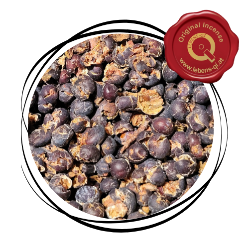 Wacholder - Beeren