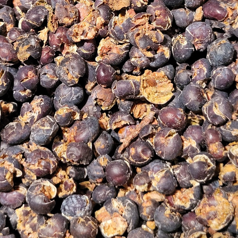 Wacholder - Beeren