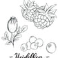 Waldfrüchte - Früchteteemischung