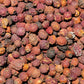 Weißdorn - Beeren