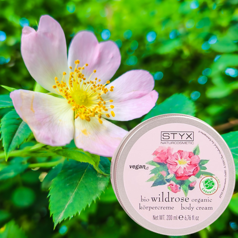 Wildrose Körpercreme