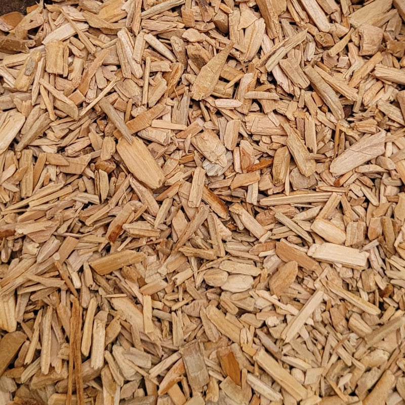 Zeder - Holz