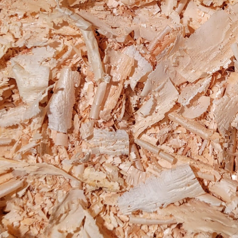 Zirbe - Holz