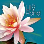The Lily Pond - Audio CD 